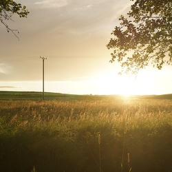 Eifelsonnenuntergang