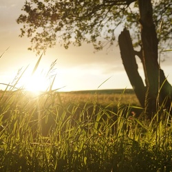 Eifelsonnenuntergang