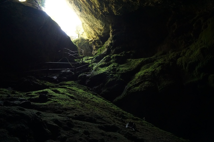 2019-05-13 09-49-48.JPG