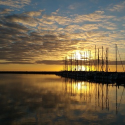 Meer